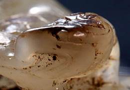 001zP7gmgy71EdWQPWPeb&690_副本