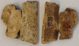 說明: 說明: 未標題-2 拷貝