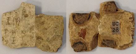 說明: 說明: 未標題-1 拷貝