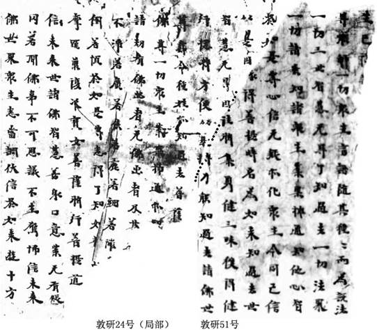 敦研51號(hào)敦研24