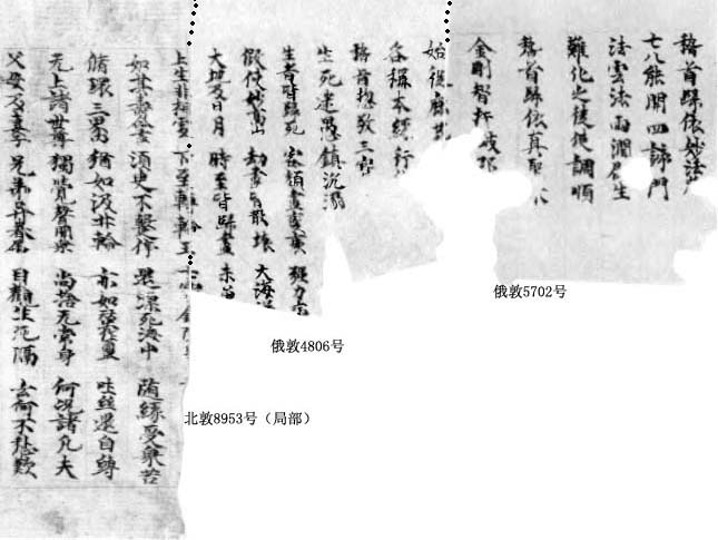 俄敦5702俄敦4802號北敦8953號