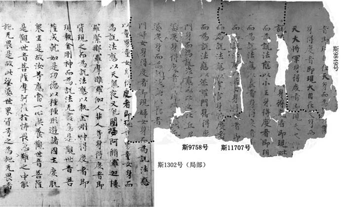 斯9849號(hào)+斯11707號(hào)+斯9758號(hào)+斯1302號(hào)帶點(diǎn)